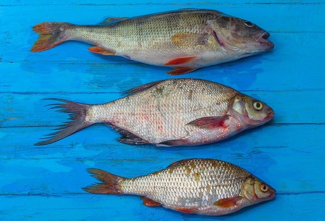 Catch On Explained | English Vocabulary
